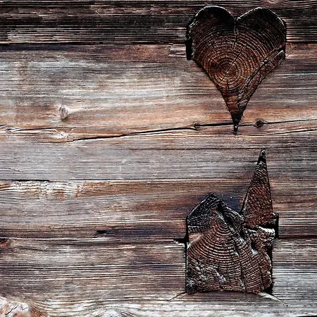 Heimatliebe *